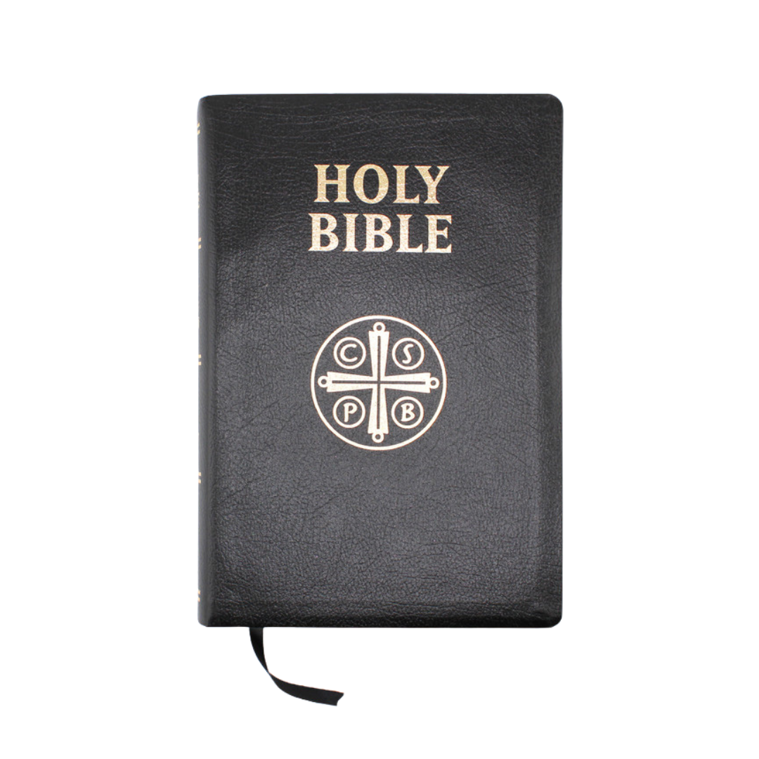 HOLY BIBLE DOUAY RHEIMS LEATHER