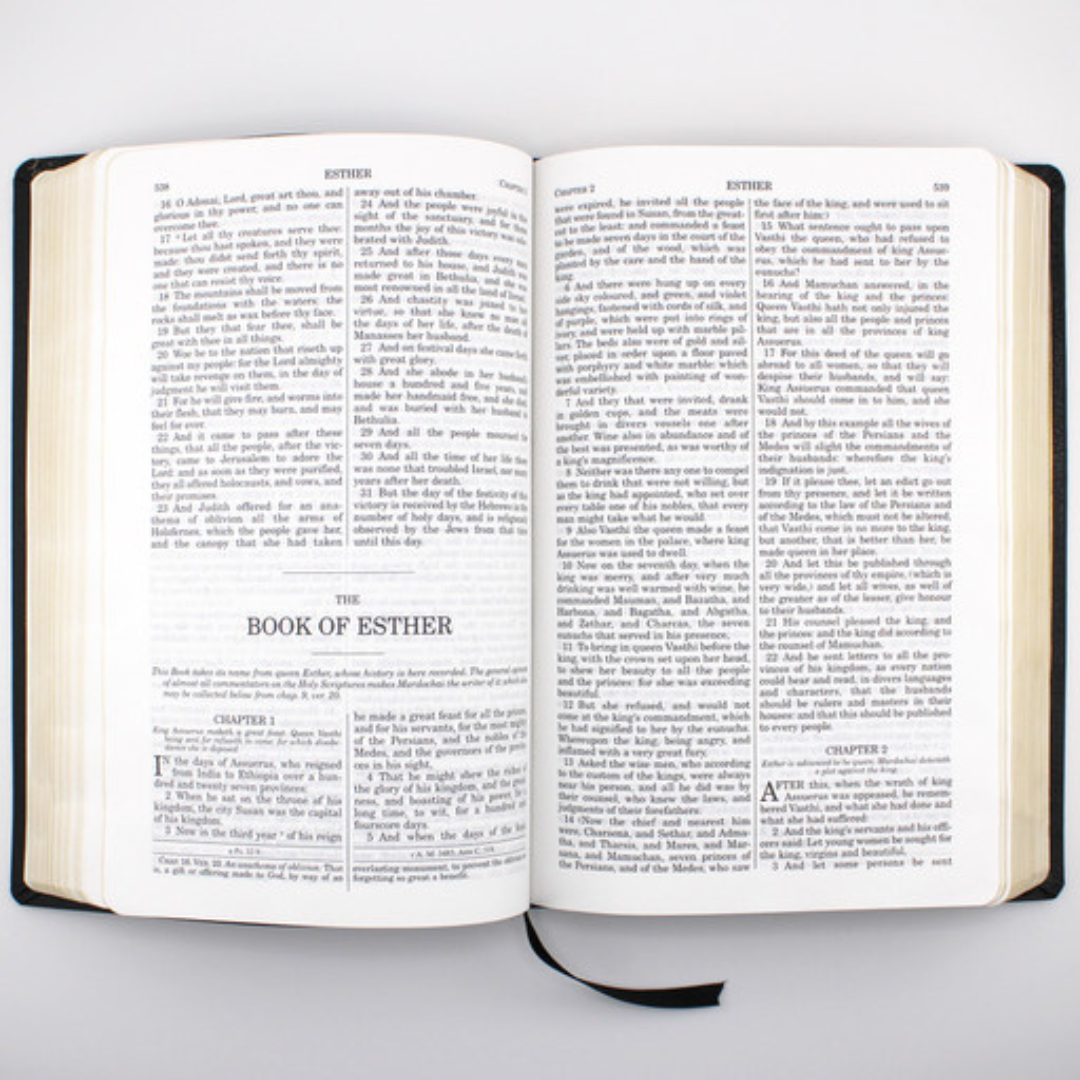 HOLY BIBLE DOUAY RHEIMS LEATHER
