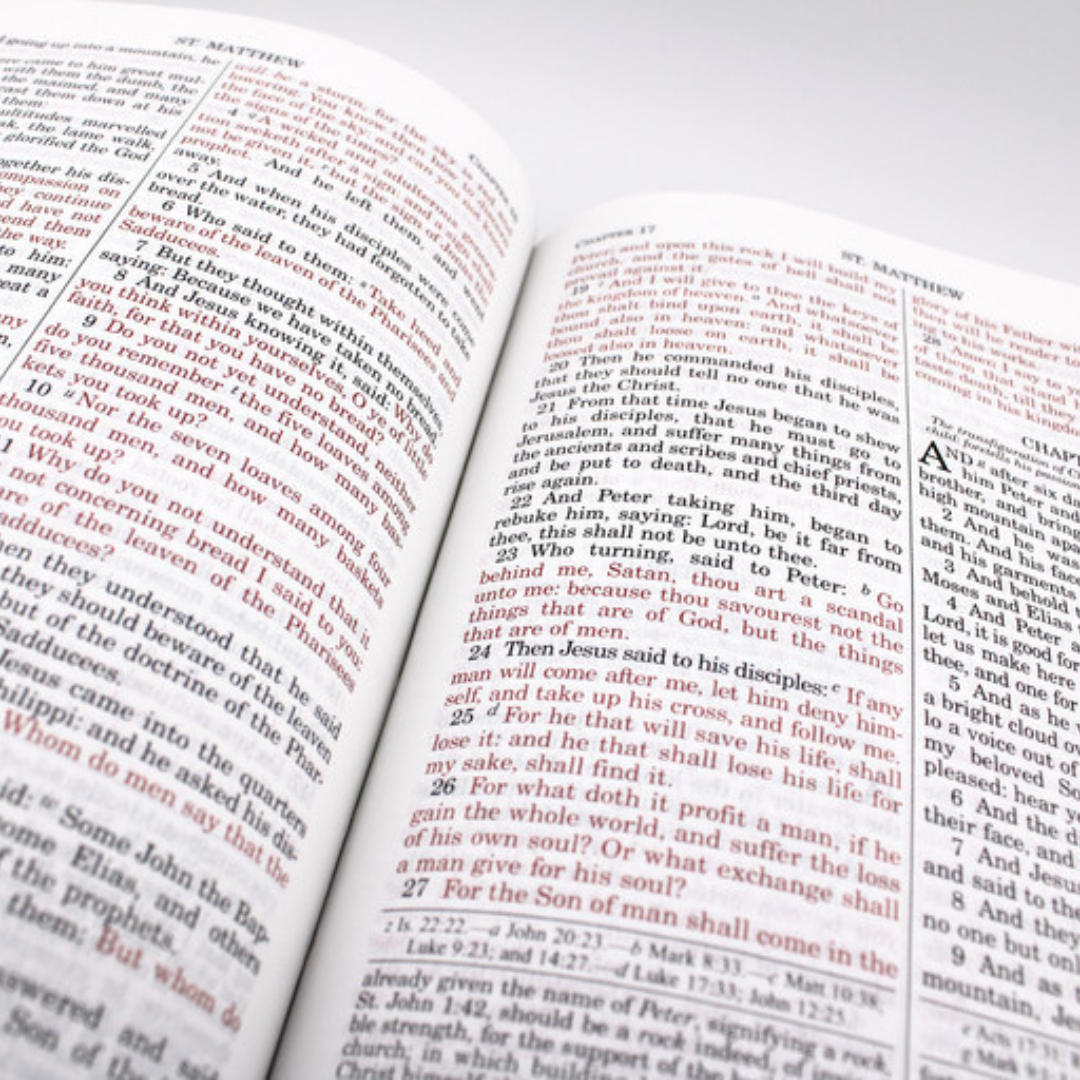 HOLY BIBLE DOUAY RHEIMS LEATHER