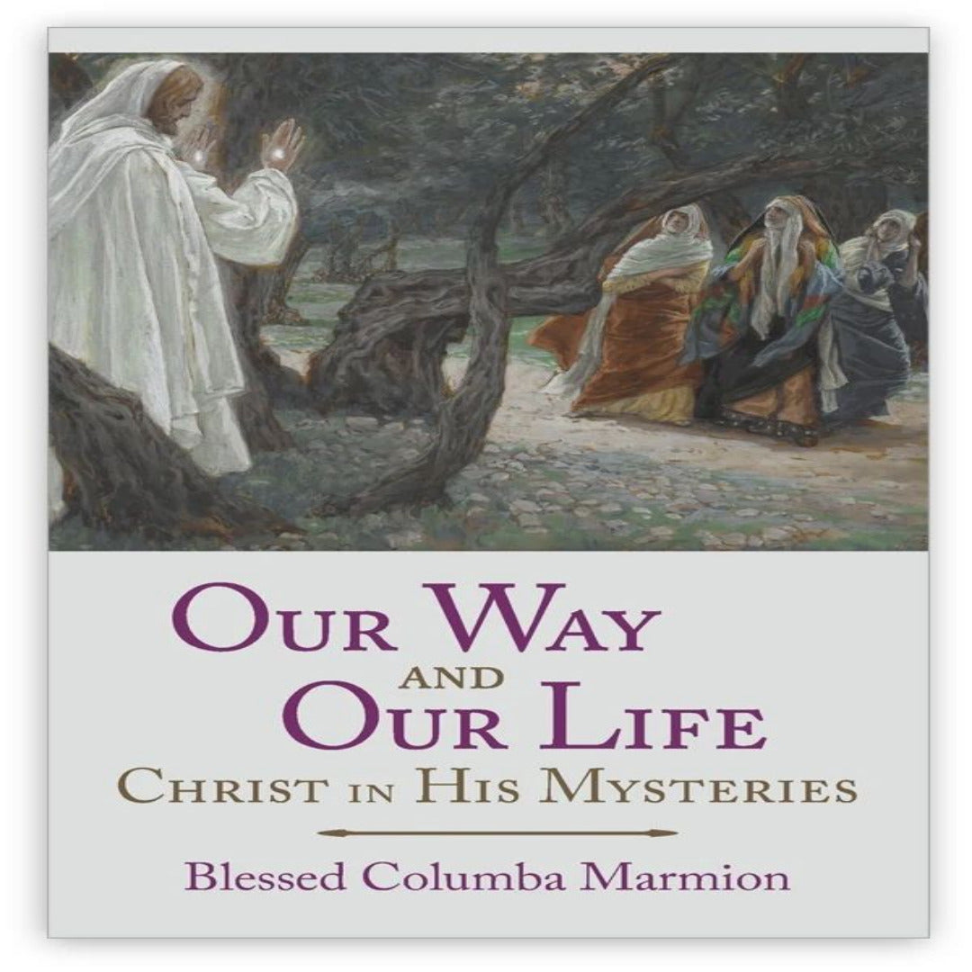 OUR WAY AND OUR LIFE: CHRIST IN HIS MYSTERIES