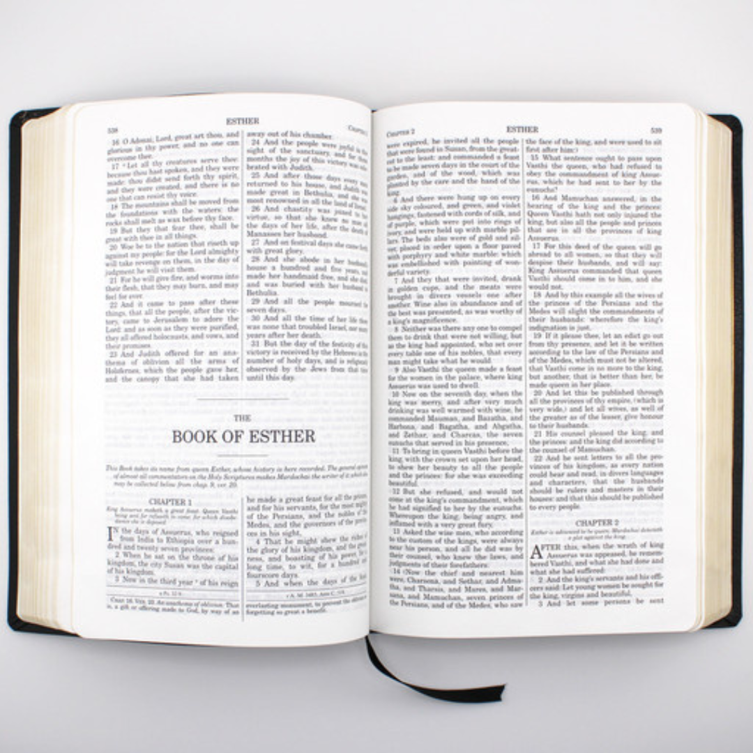 HOLY BIBLE DOUAY-RHEIMS LEATHER