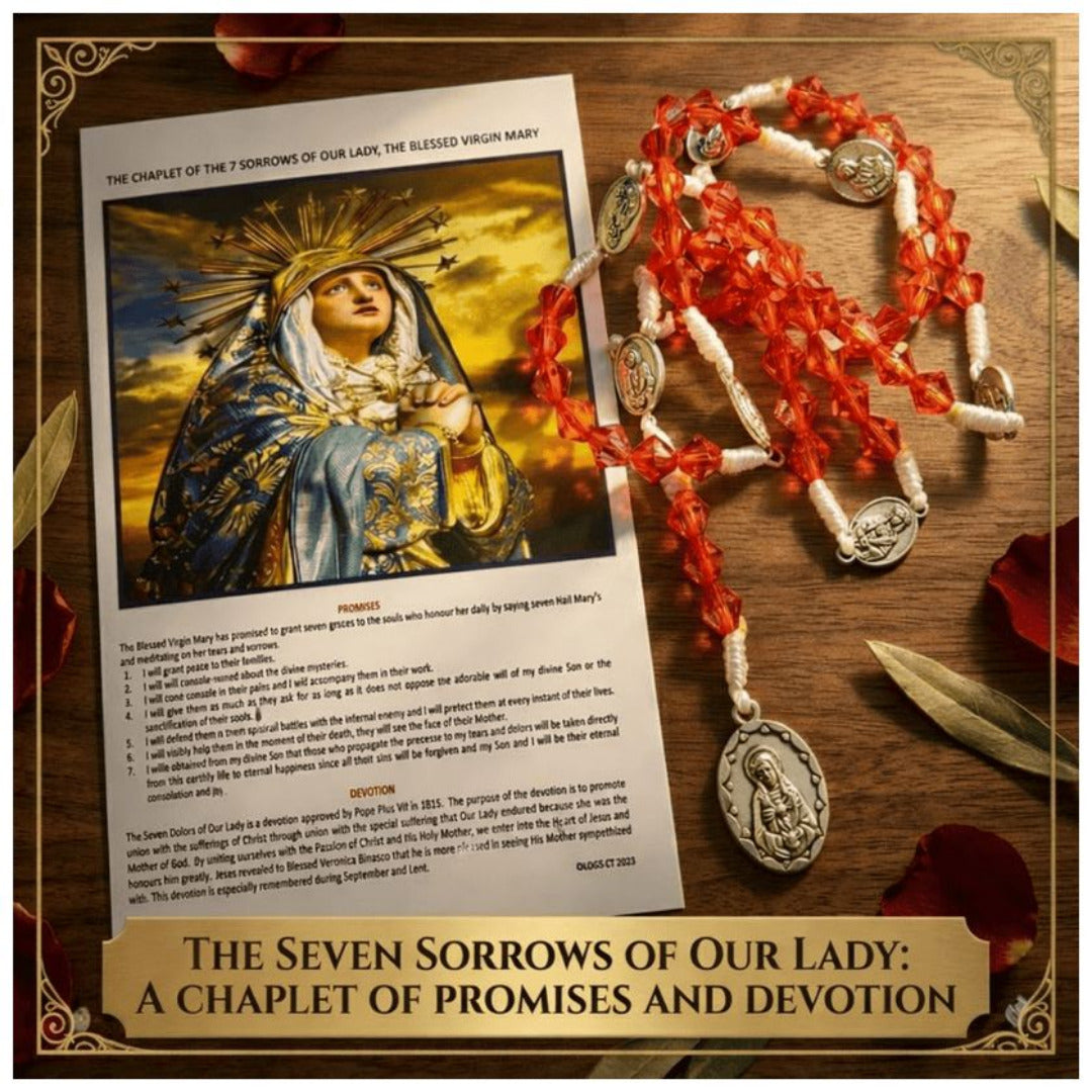 THE CHAPLET OF THE SEVEN DOLOURS OF OUR LADY IN HANDMADE CORD ROSARY WITH PRAYER CARD