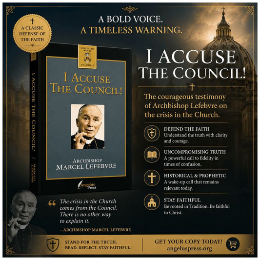 I ACCUSE THE COUNCIL