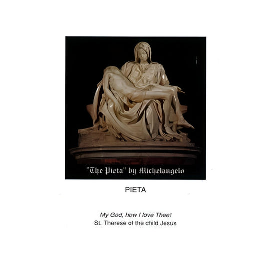 PIETA BOOK