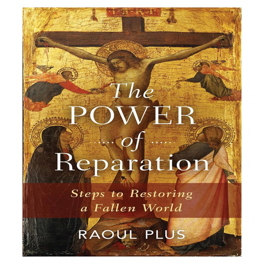 THE POWER OF REPARATION STEPS TO RESTORING A FALLEN WORLD