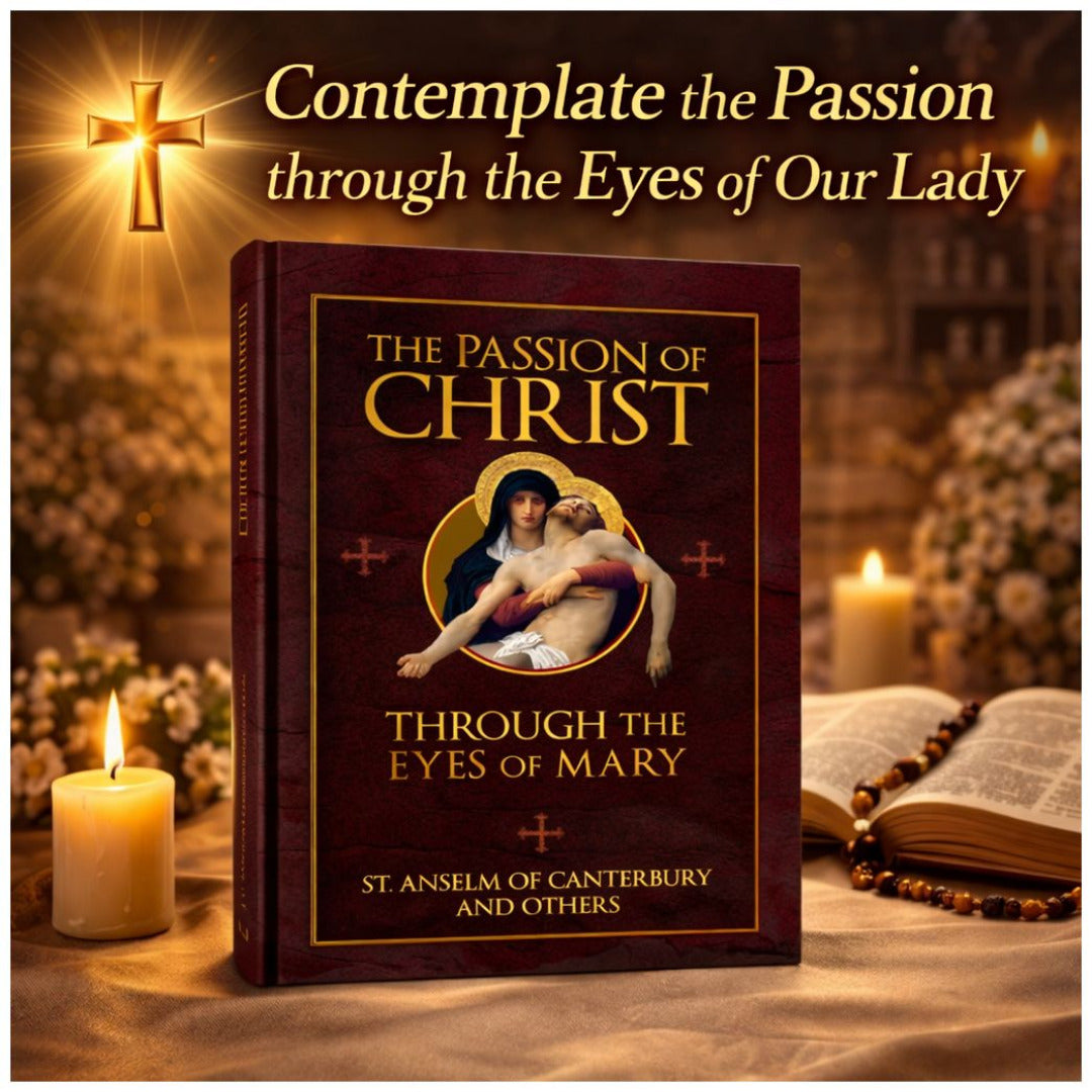 THE PASSION OF CHRIST THROUGH THE EYES OF MARY