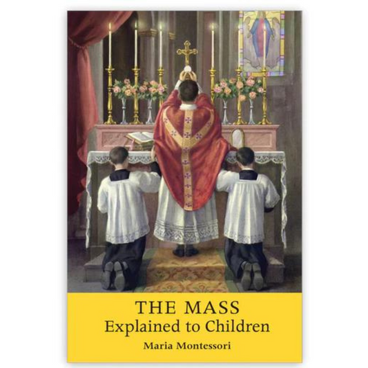 THE MASS EXPLAINED TO CHILDREN