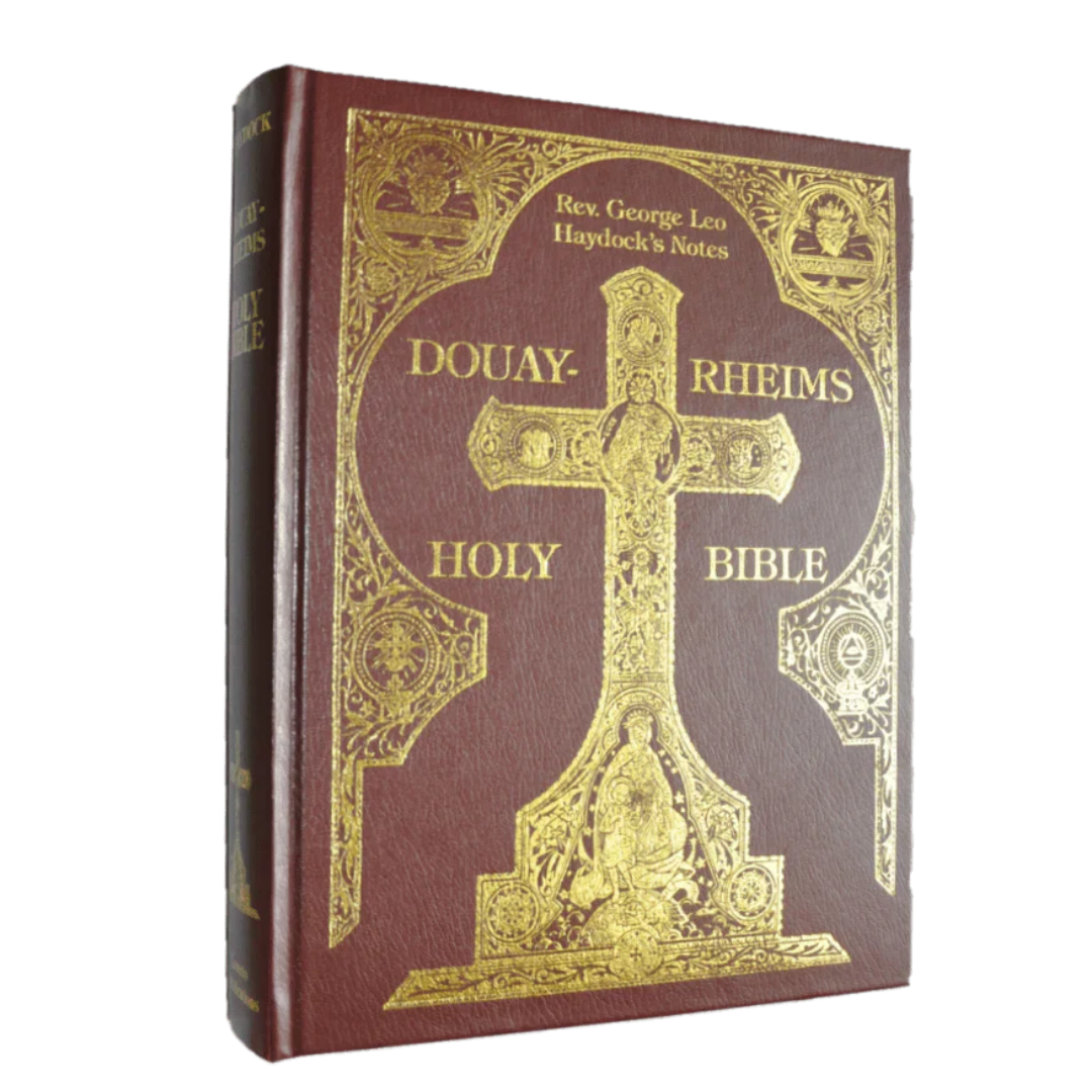 HOLY BIBLE DOUAY RHEIMS HAYDOCK EDITION