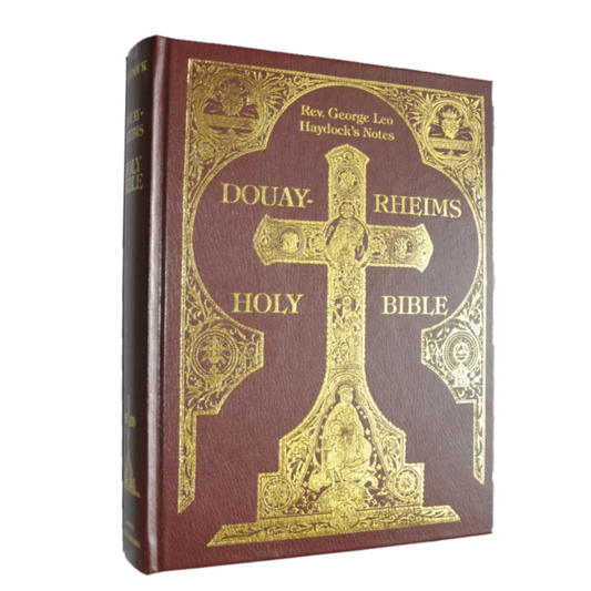 HOLY BIBLE DOUAY-RHEIMS HAYDOCK