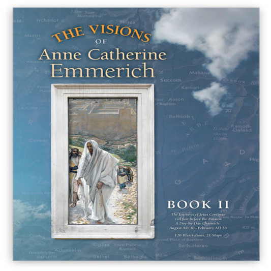 VISIONS OF CATHERINE EMMERICH VOL 11