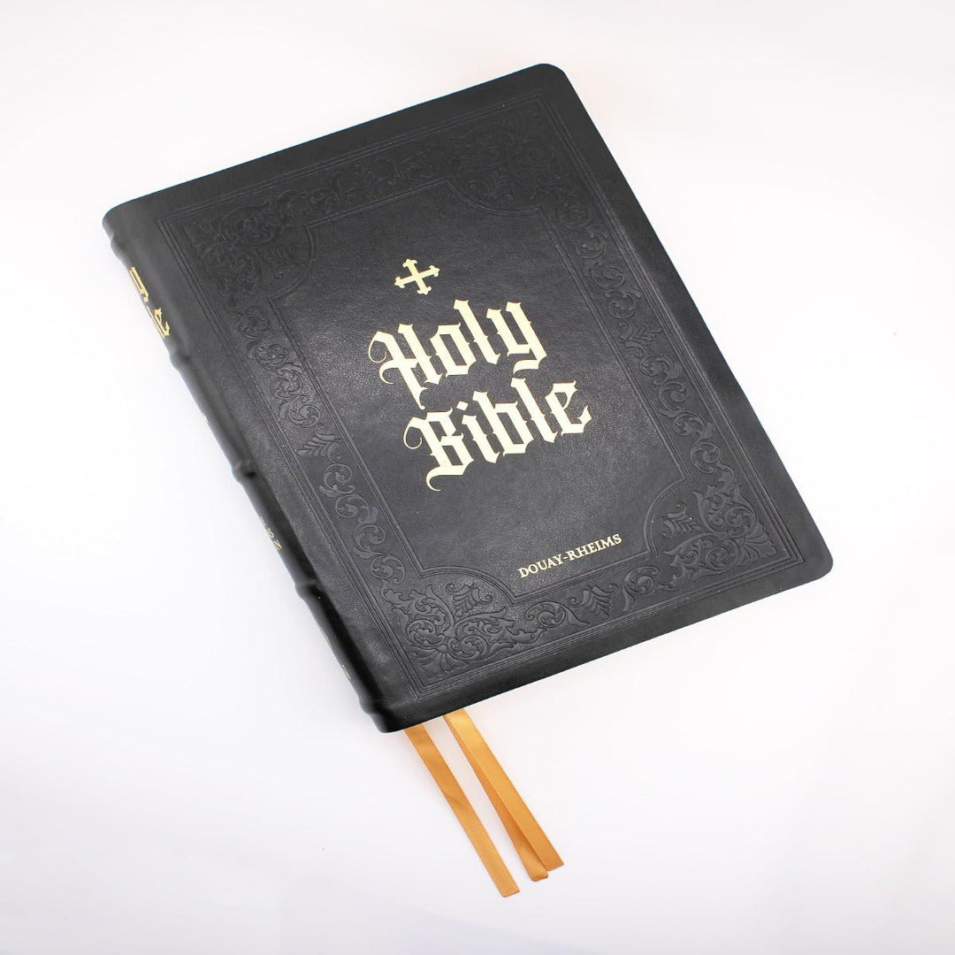 DOUAY-RHEIMS BIBLE LARGE PRINT EDITION