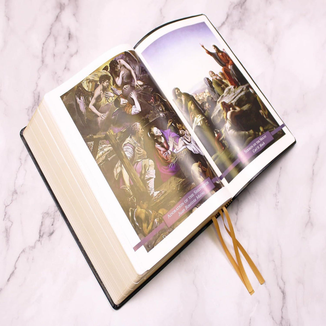 DOUAY-RHEIMS BIBLE LARGE PRINT EDITION