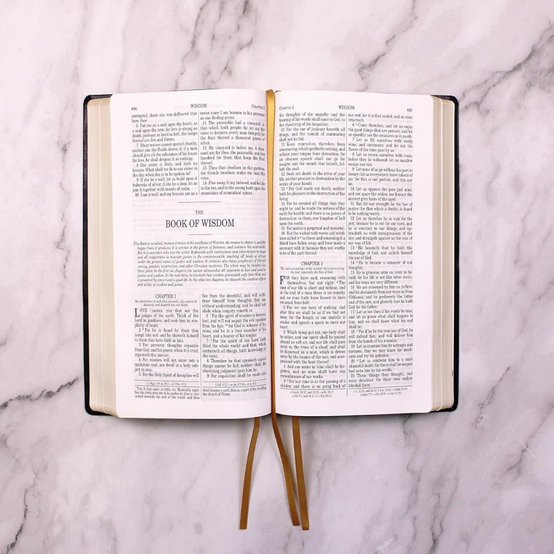 DOUAY-RHEIMS BIBLE LARGE PRINT EDITION