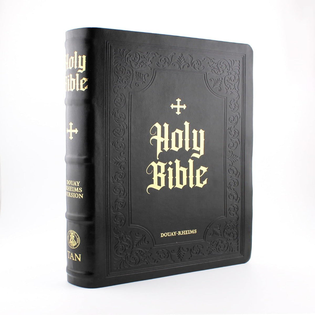 DOUAY-RHEIMS BIBLE LARGE PRINT EDITION